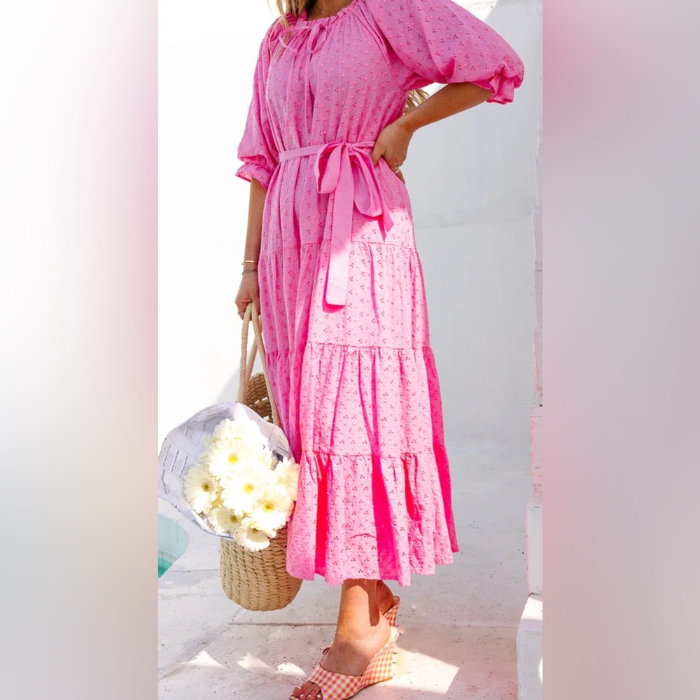 NWT Ivy City Co Pink Eyelet Maxi Dress